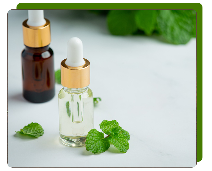 Wadhwa Healing Touch Homoeopathic Clinic