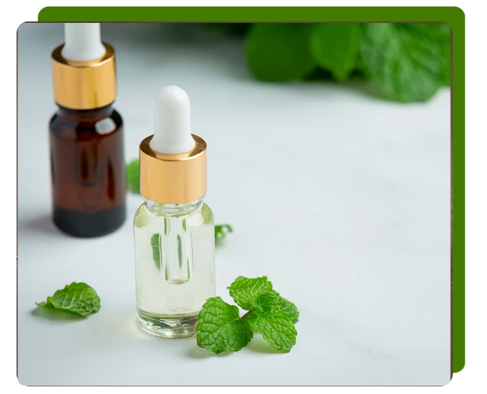 Wadhwa Healing Touch Homoeopathic Clinic