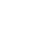 Expert 